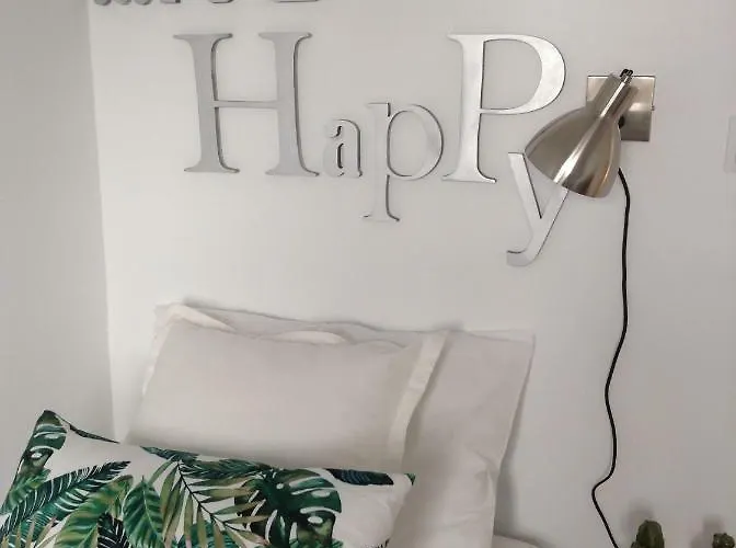 25carmo * 埃里塞拉