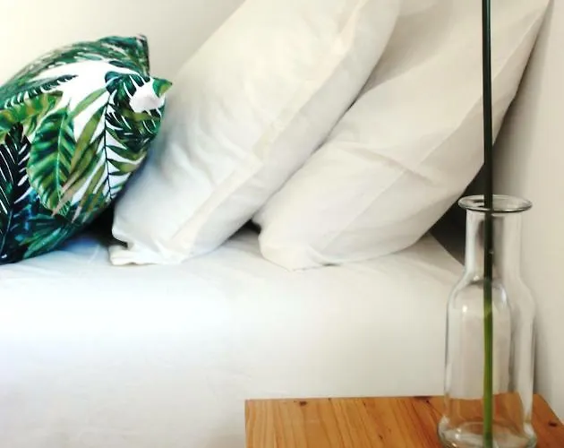 25carmo * 埃里塞拉