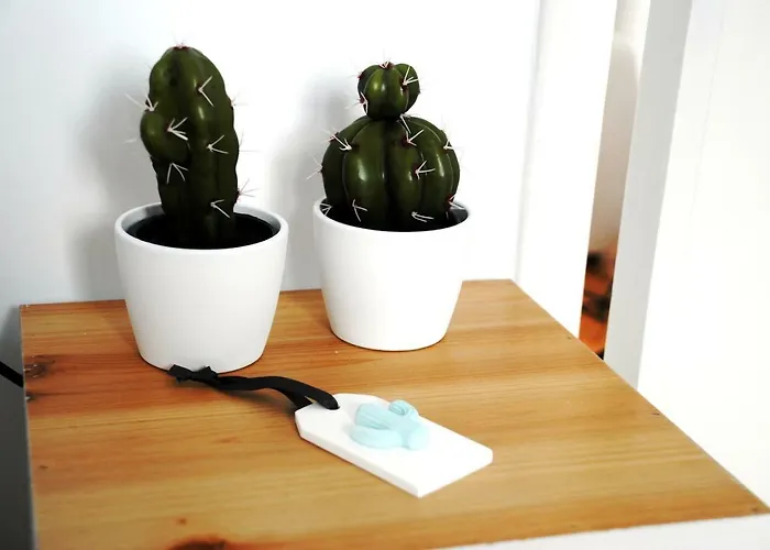 25carmo * 埃里塞拉